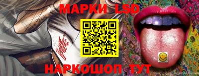 индика Майкоп