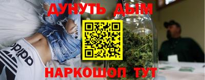 индика Майкоп