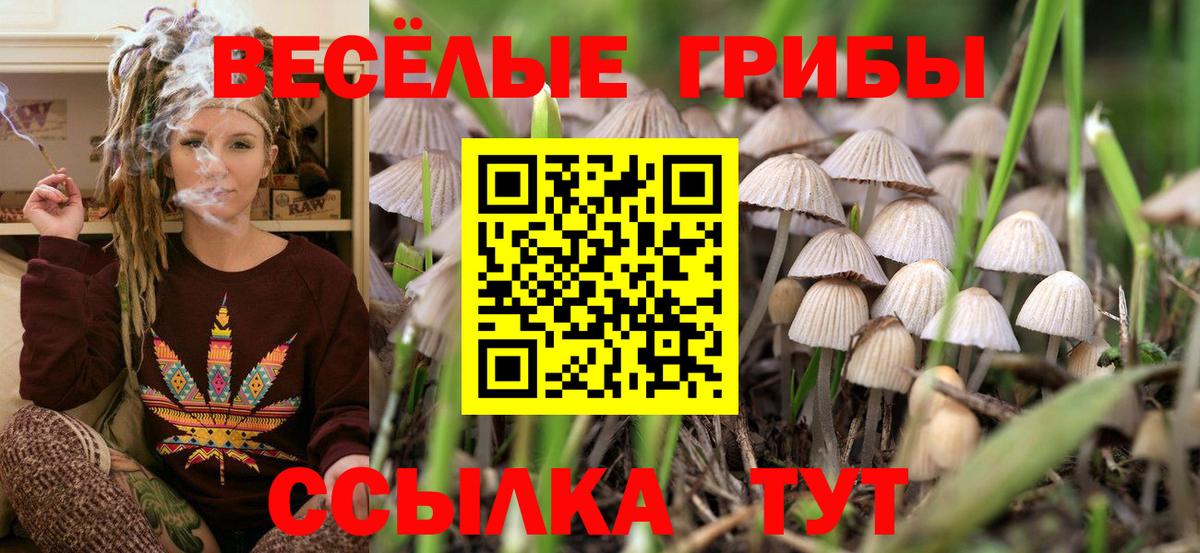 Меф МЯУ МЯУ   Каннабис  АМФ кристаллы  Ачинск  ГАШ  Вход с VPN  Cocaine 