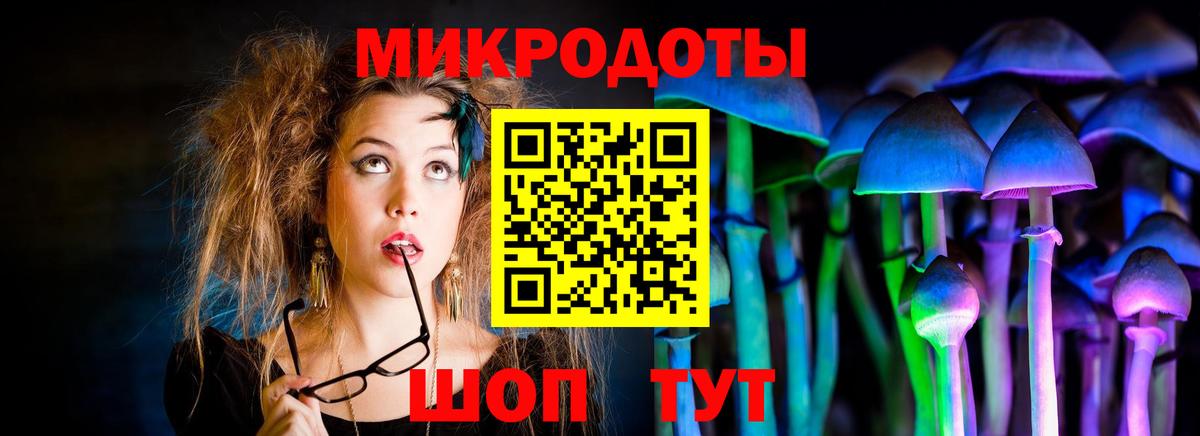 Галлюциногенные грибы Cubensis Ачинск