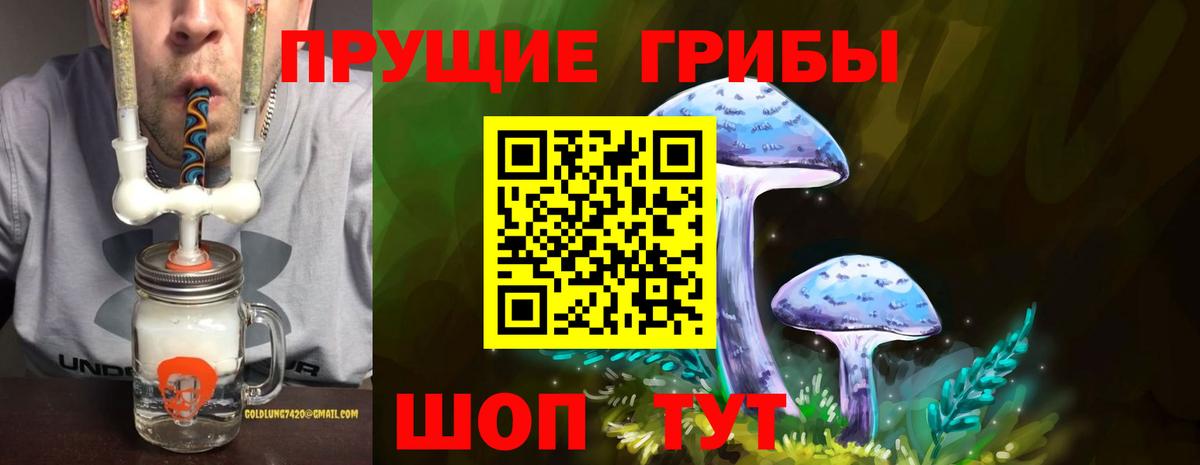 Псилоцибиновые грибы Magic Shrooms  Вход с VPN  Ачинск 