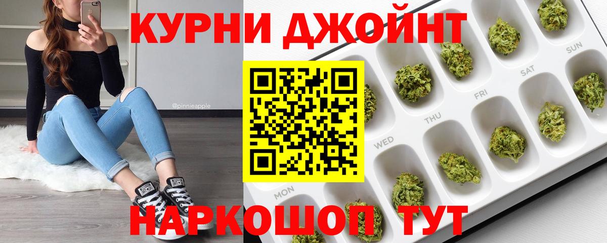 Конопля сатива Ачинск